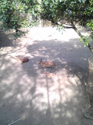 f:id:kikuyuki:20100425171800j:image f:id:kikuyuki:20100425171800j:image
