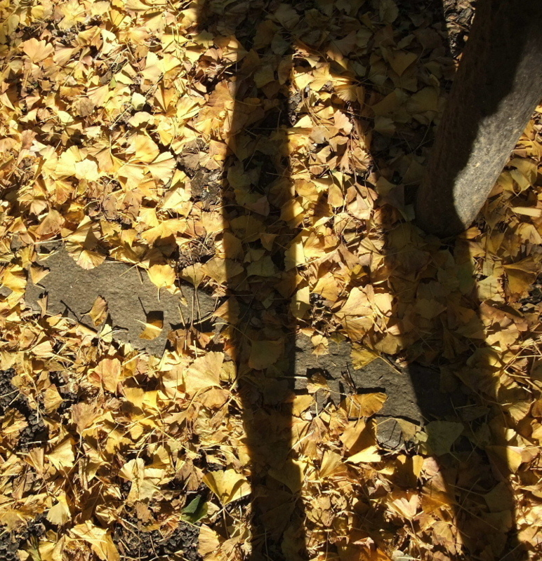 f:id:kikyoedo:20111228175535j:image