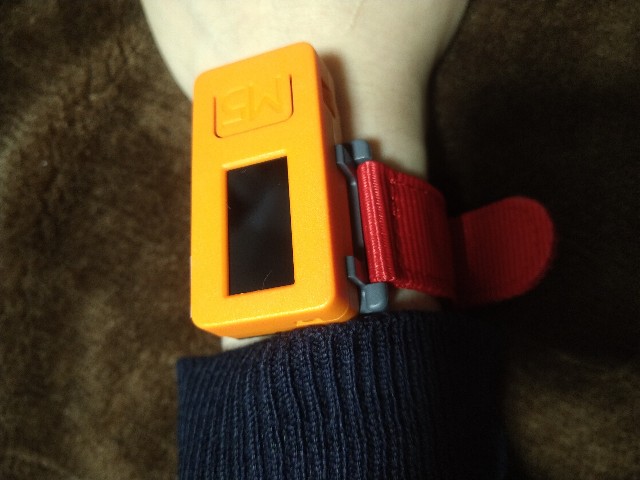 f:id:kikyou_kiki:20200217221226j:image