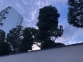 20251005215612