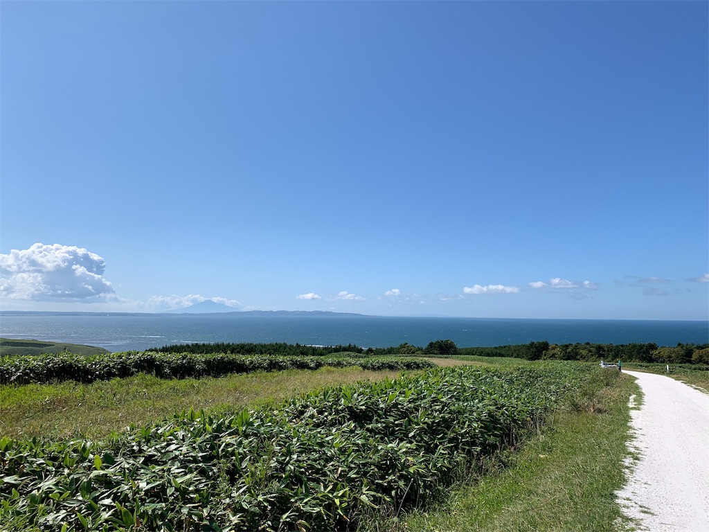 f:id:kilometers:20190905204544j:image