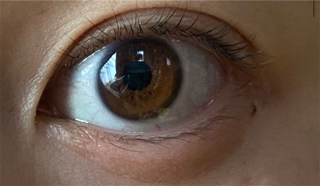 f:id:kilyott:20201008220415j:plain