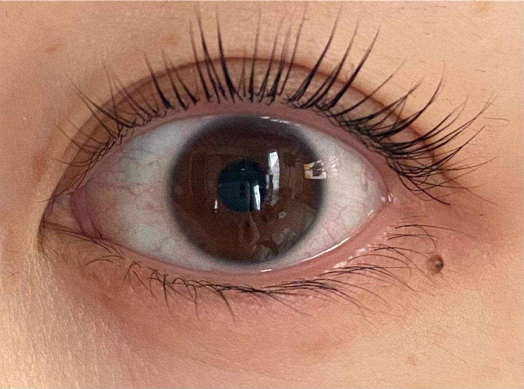 f:id:kilyott:20201228164036j:image f:id:kilyott:20201228164036j:image