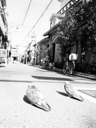 f:id:kilys:20090317141841j:image