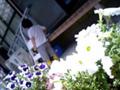 20070619131102
