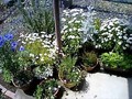 20080515102050