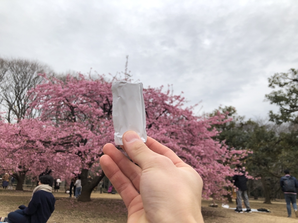 f:id:kim0522:20190307214354j:plain f:id:kim0522:20190307214354j:plain