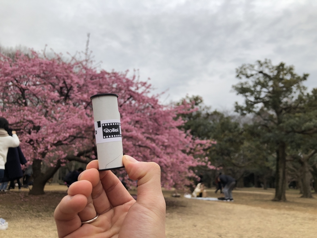 f:id:kim0522:20190307214358j:plain f:id:kim0522:20190307214358j:plain