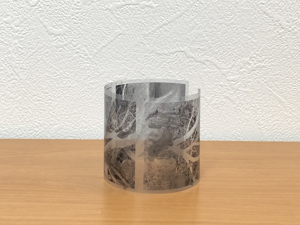 f:id:kim0522:20190310154041j:plain