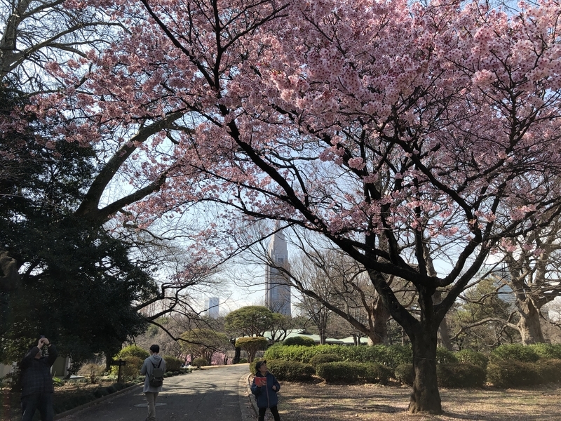 f:id:kim0522:20190313100253j:plain f:id:kim0522:20190313100253j:plain