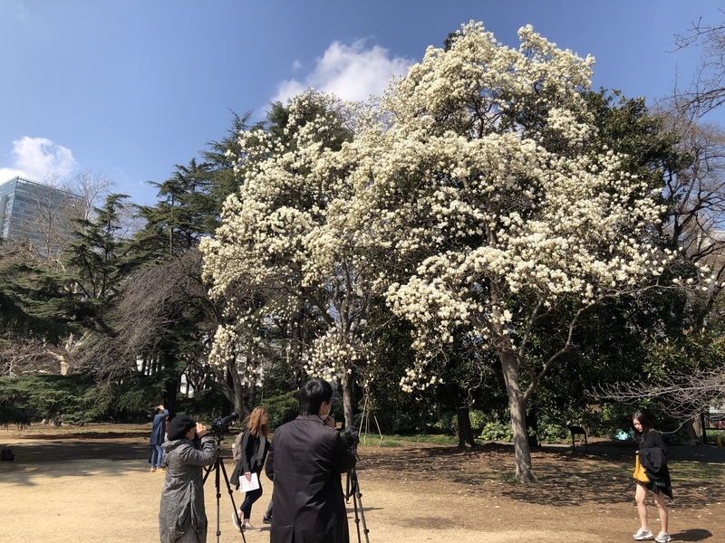 f:id:kim0522:20190313100308j:plain f:id:kim0522:20190313100308j:plain