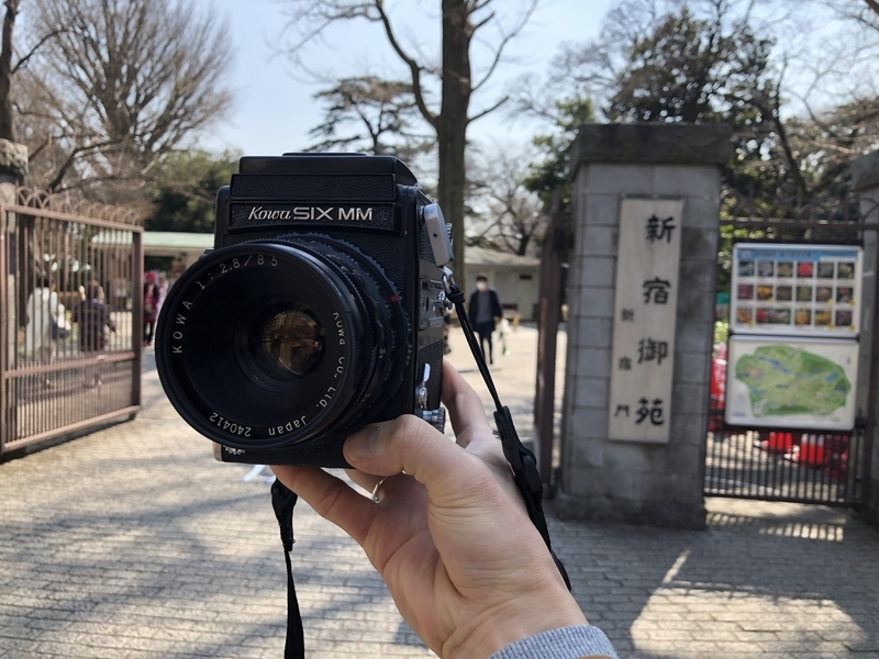 f:id:kim0522:20190313100321j:plain f:id:kim0522:20190313100321j:plain