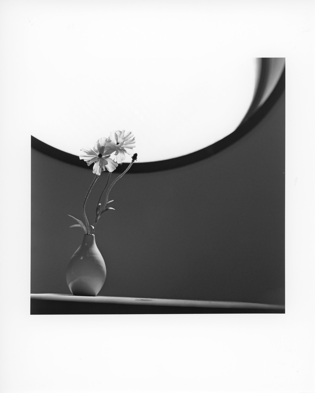 f:id:kim0522:20190416140034j:plain f:id:kim0522:20190416140034j:plain