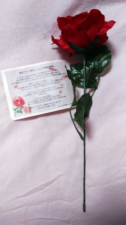 f:id:kima-ala:20170521115300j:plain f:id:kima-ala:20170521115300j:plain