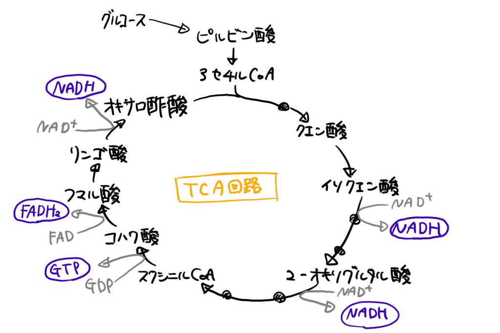f:id:kimagulevet:20180607183438p:plain
