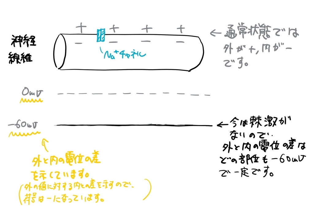 f:id:kimagulevet:20180610222844j:plain