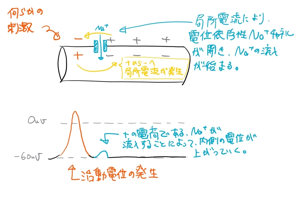 f:id:kimagulevet:20180610222852j:plain