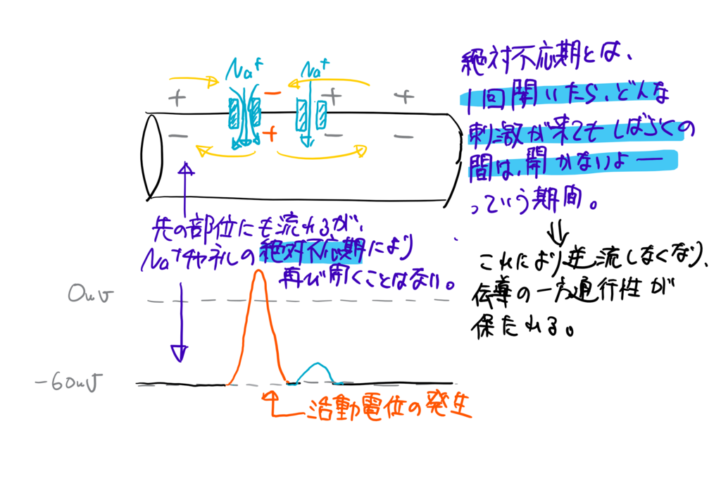 f:id:kimagulevet:20180610222900p:plain