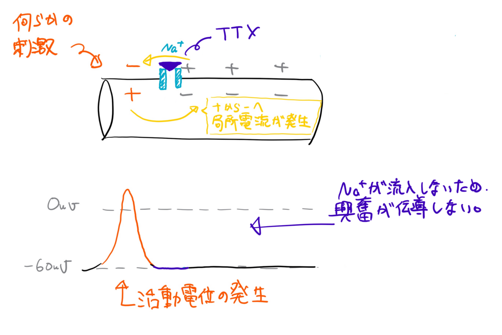 f:id:kimagulevet:20180611175524p:plain