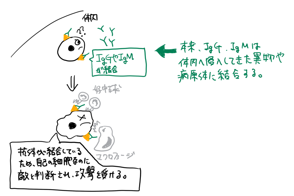 f:id:kimagulevet:20180614175600p:plain