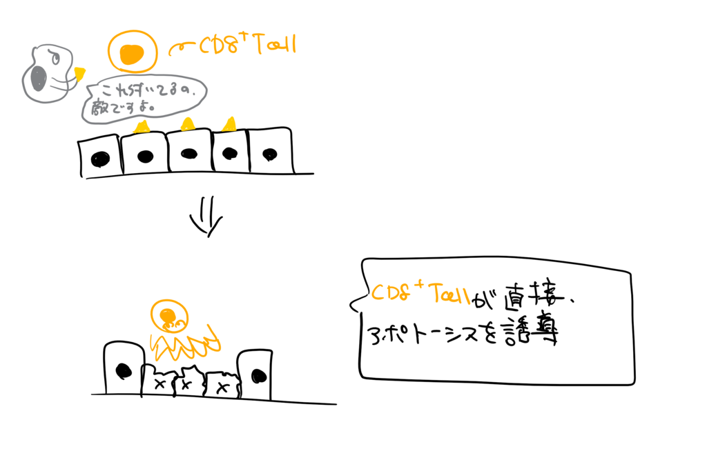 f:id:kimagulevet:20180615113330p:plain