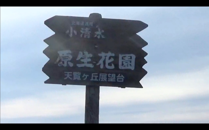 f:id:kimagure-hitoritabi:20201025142916j:plain f:id:kimagure-hitoritabi:20201025142916j:plain