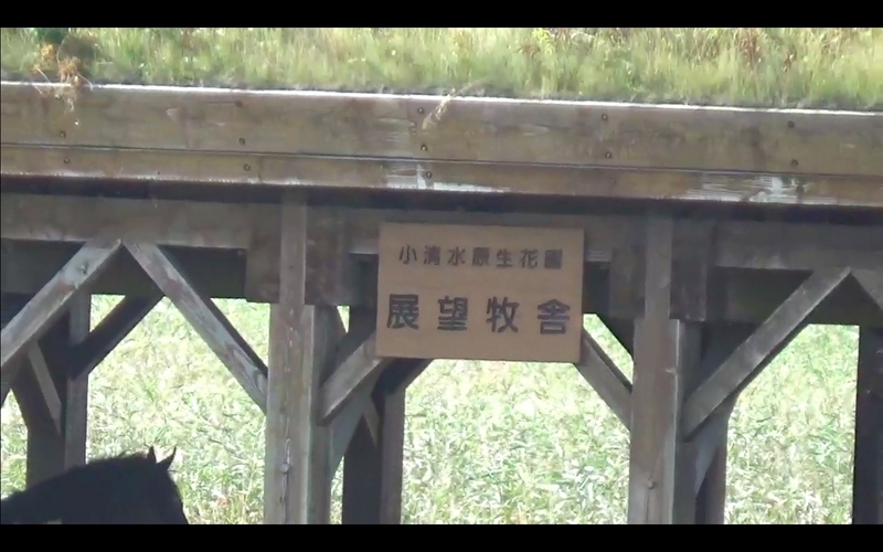 f:id:kimagure-hitoritabi:20201025151031j:plain f:id:kimagure-hitoritabi:20201025151031j:plain