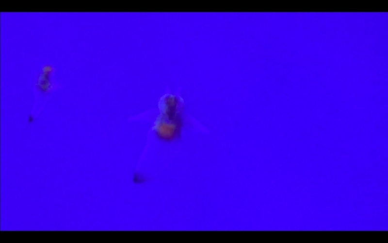 f:id:kimagure-hitoritabi:20201026182941j:plain f:id:kimagure-hitoritabi:20201026182941j:plain