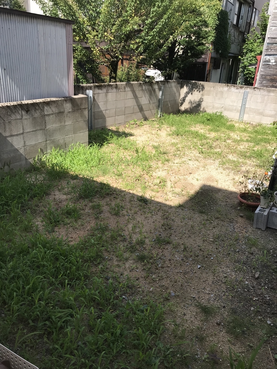 f:id:kimagureNs:20190708175606j:plain f:id:kimagureNs:20190708175606j:plain