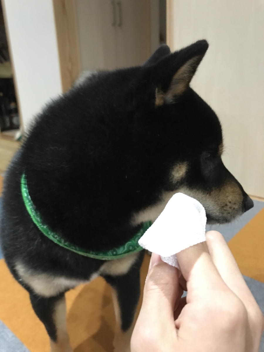 f:id:kimagureNs:20190730185705j:plain f:id:kimagureNs:20190730185705j:plain
