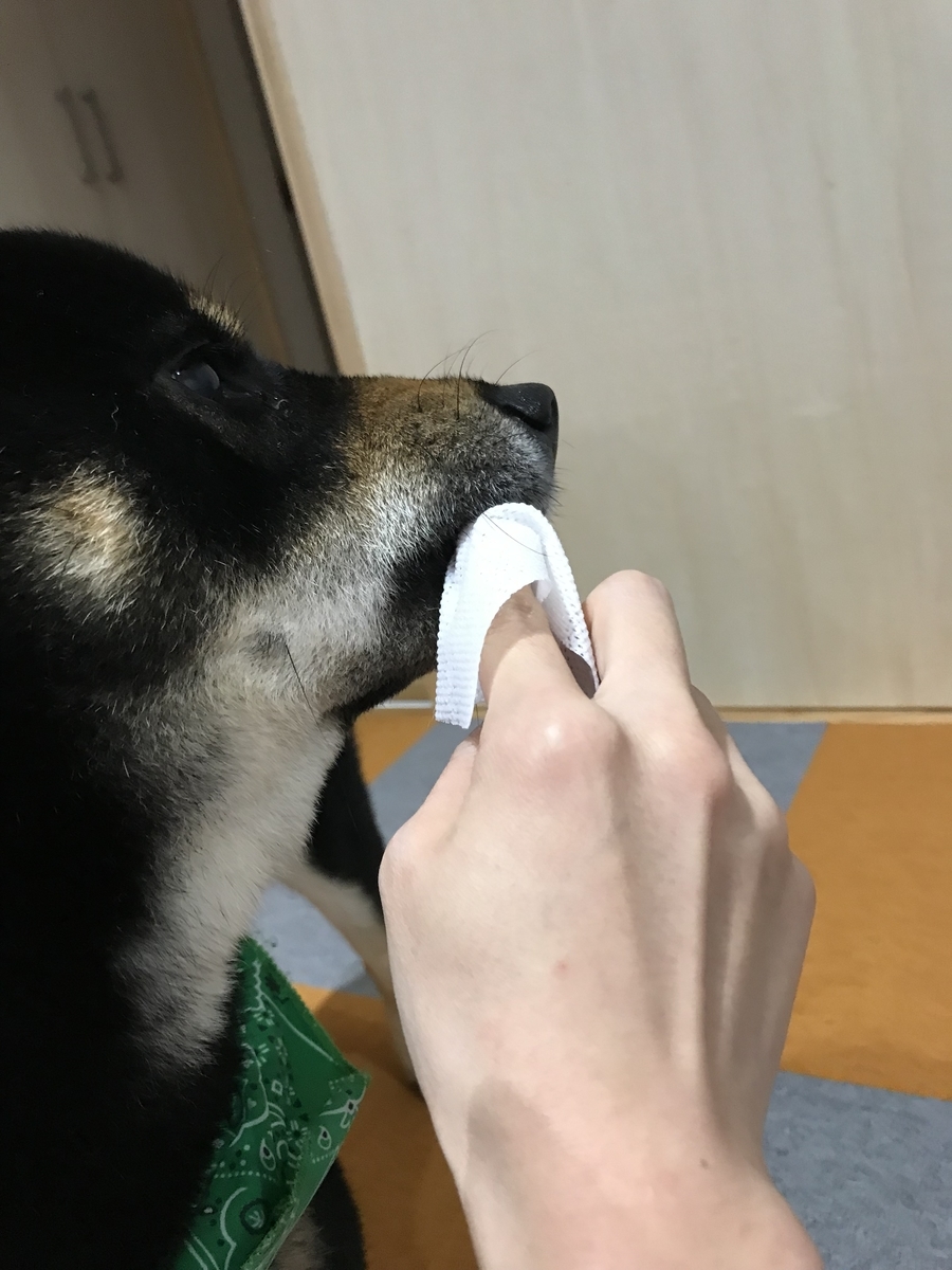 f:id:kimagureNs:20190730185814j:plain f:id:kimagureNs:20190730185814j:plain