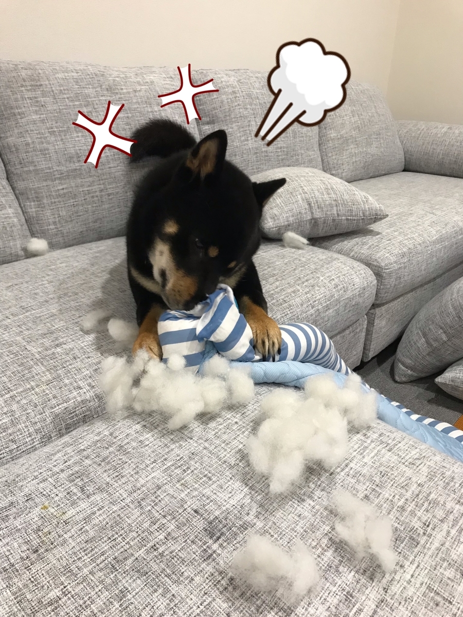 f:id:kimagureNs:20190730190339j:plain f:id:kimagureNs:20190730190339j:plain