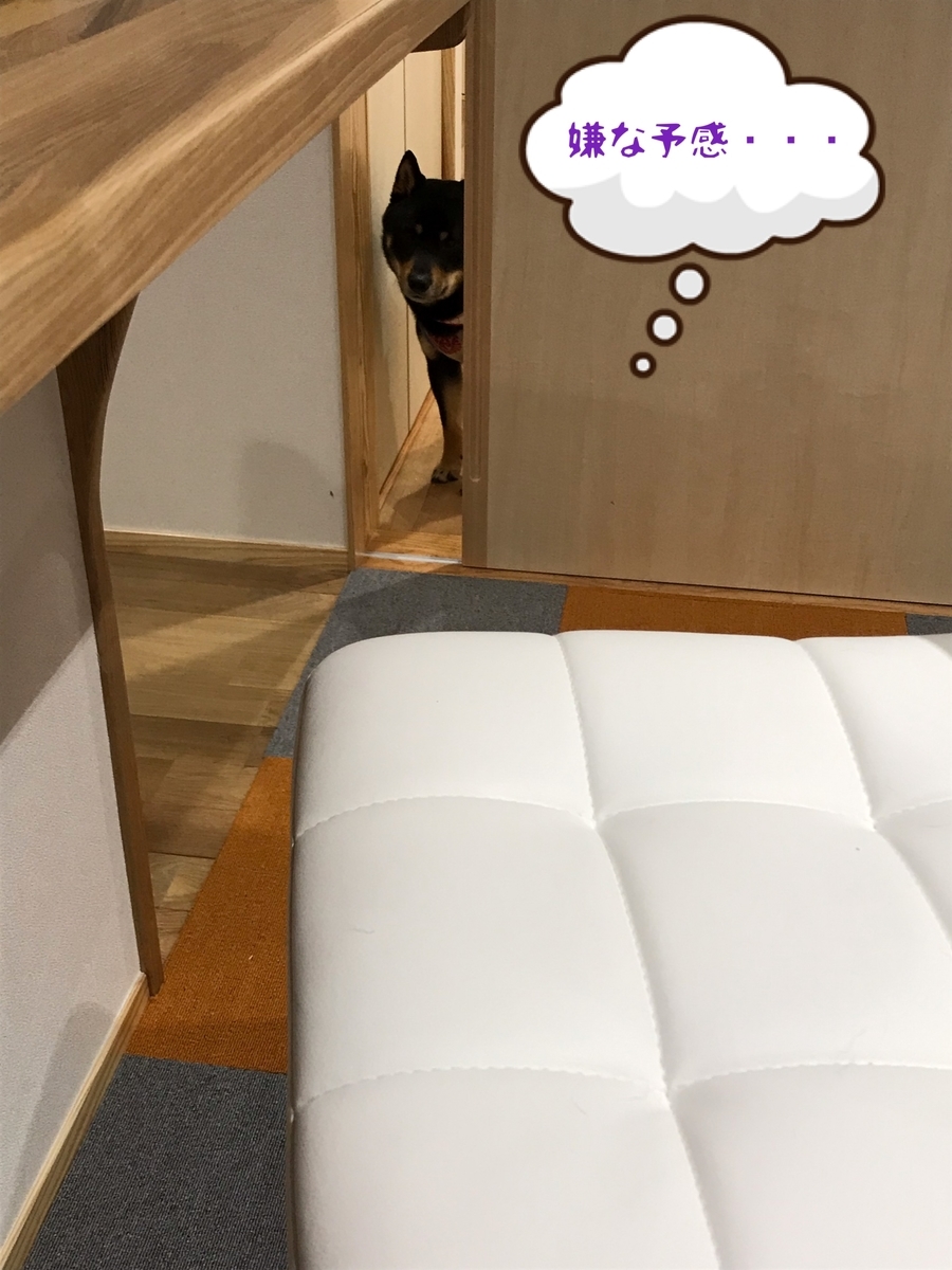 f:id:kimagureNs:20190730190542j:plain f:id:kimagureNs:20190730190542j:plain