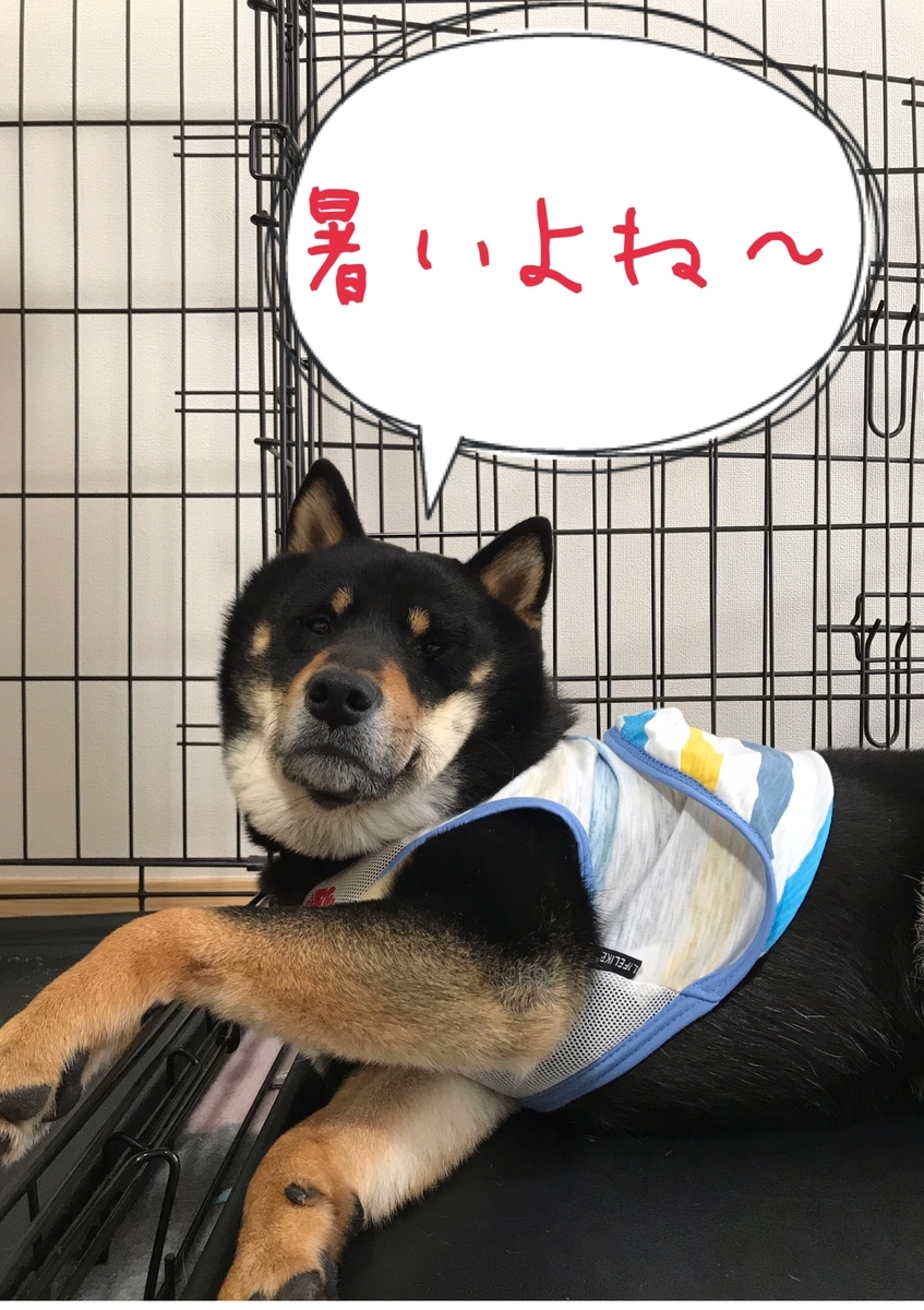 f:id:kimagureNs:20190802211357j:plain f:id:kimagureNs:20190802211357j:plain