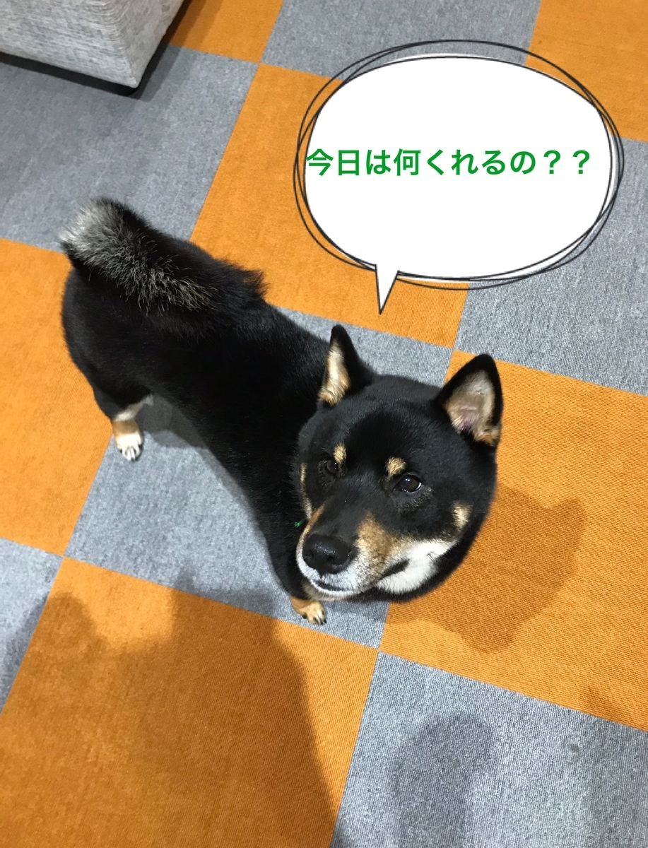 f:id:kimagureNs:20190805181140j:plain f:id:kimagureNs:20190805181140j:plain