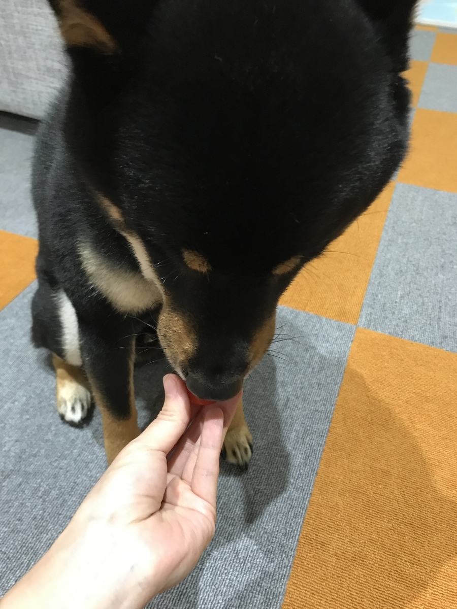 f:id:kimagureNs:20190805181620j:plain f:id:kimagureNs:20190805181620j:plain