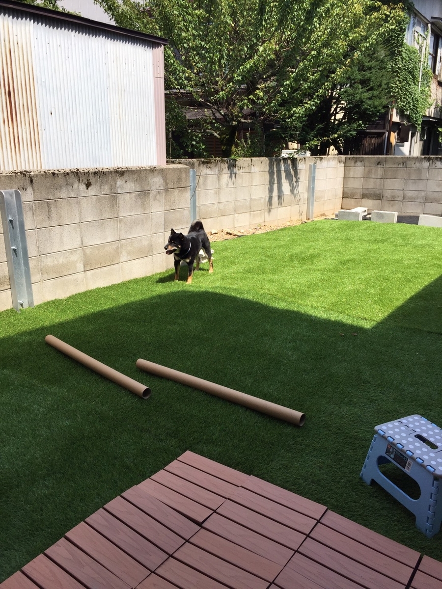 f:id:kimagureNs:20190901222650j:plain f:id:kimagureNs:20190901222650j:plain