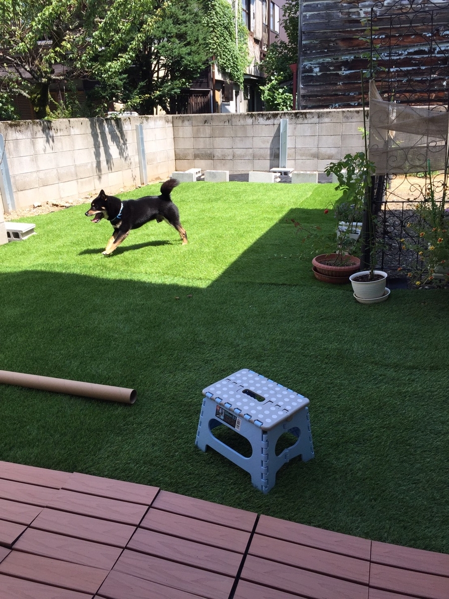 f:id:kimagureNs:20190901223107j:plain f:id:kimagureNs:20190901223107j:plain