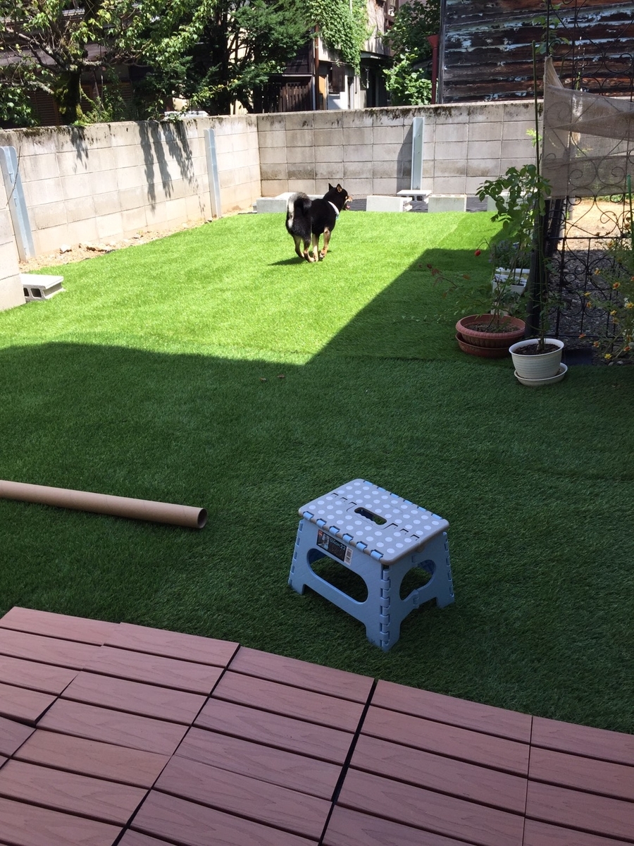 f:id:kimagureNs:20190901223220j:plain f:id:kimagureNs:20190901223220j:plain