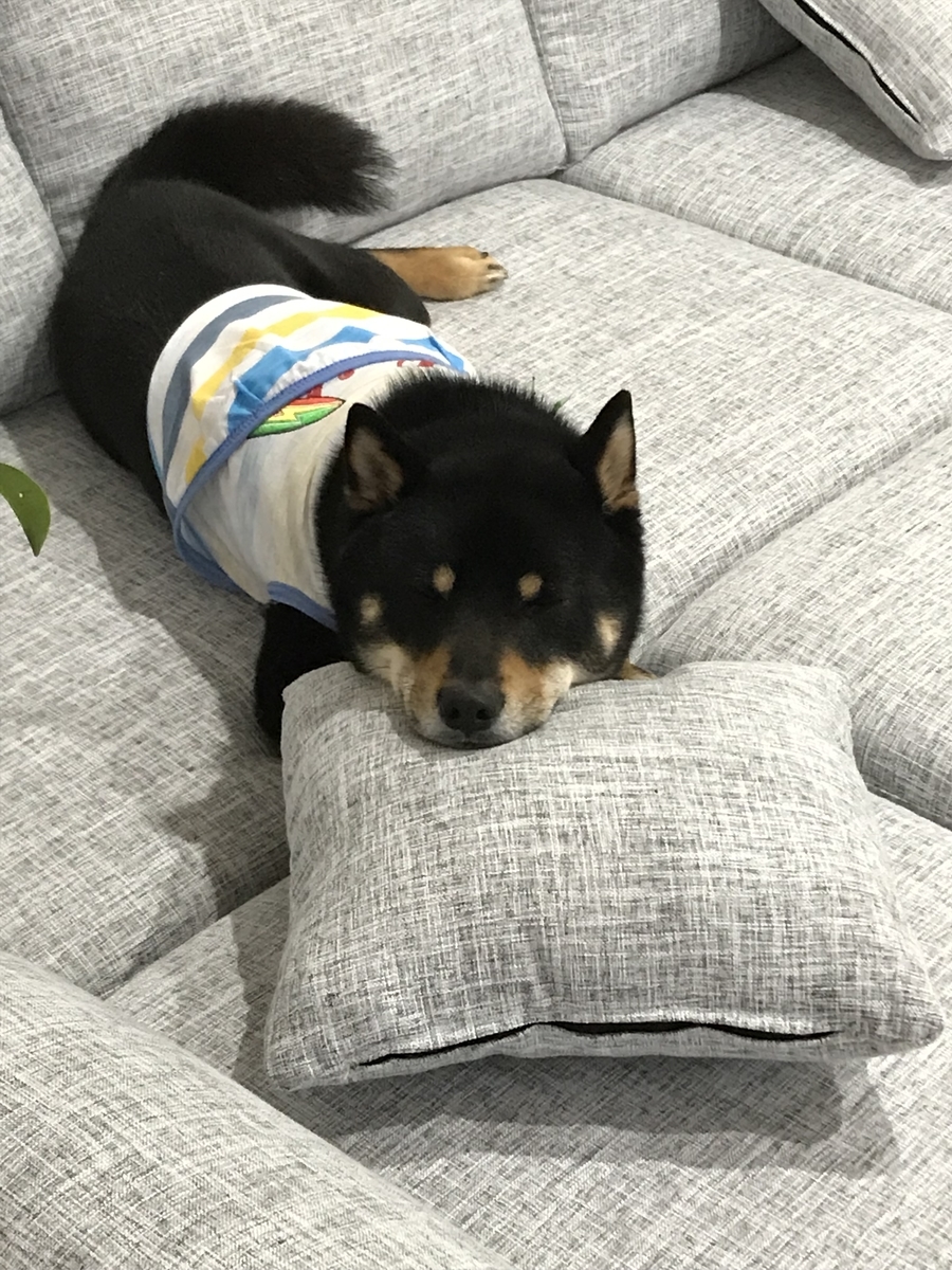 f:id:kimagureNs:20190920181843j:plain f:id:kimagureNs:20190920181843j:plain