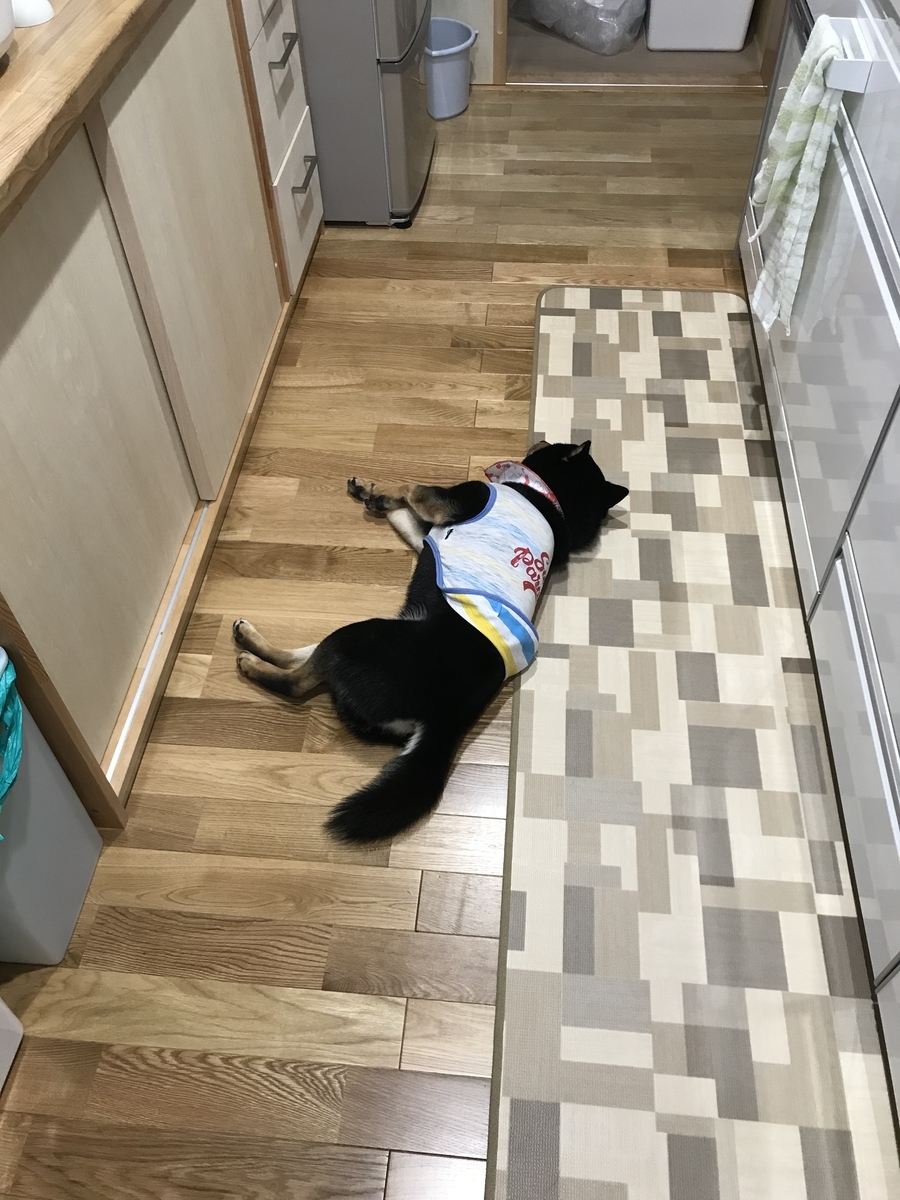 f:id:kimagureNs:20190920182014j:plain f:id:kimagureNs:20190920182014j:plain