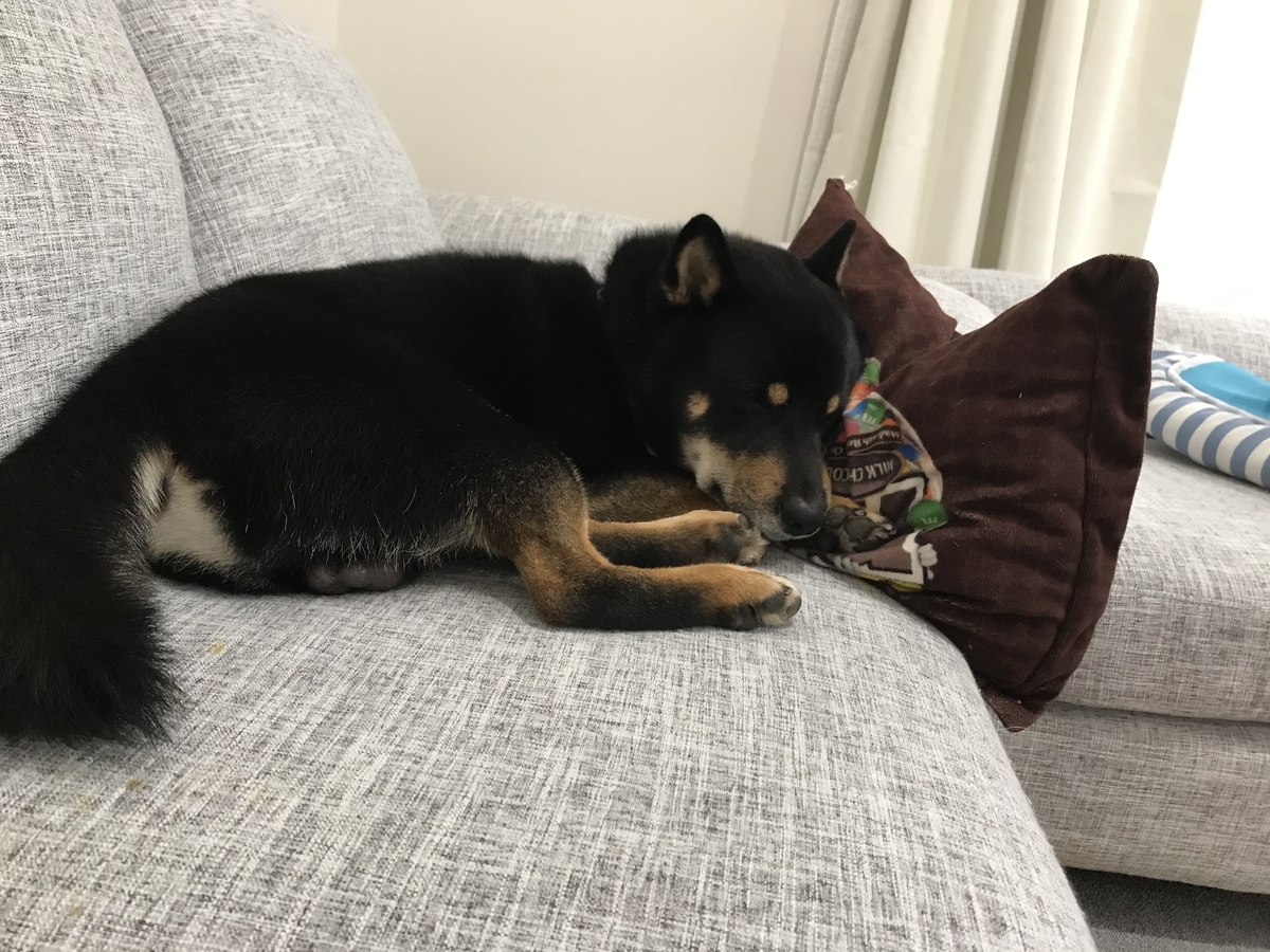 f:id:kimagureNs:20190920182122j:plain f:id:kimagureNs:20190920182122j:plain