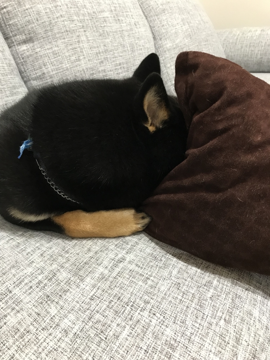 f:id:kimagureNs:20190920182202j:plain f:id:kimagureNs:20190920182202j:plain