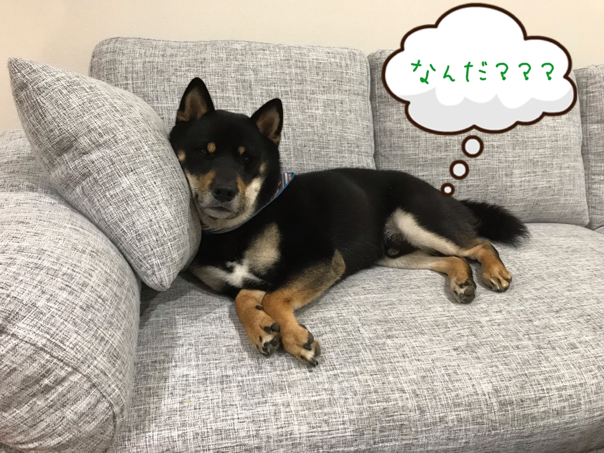 f:id:kimagureNs:20190920182248j:plain f:id:kimagureNs:20190920182248j:plain