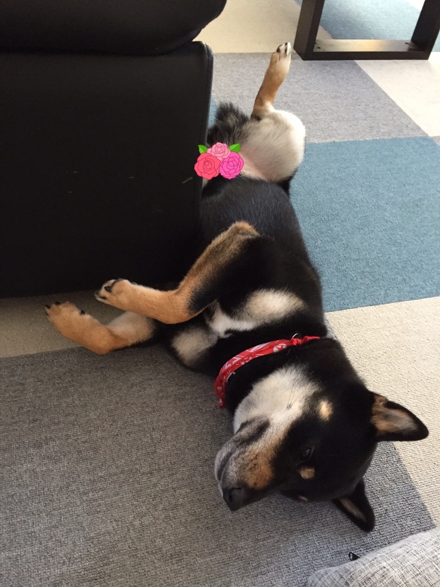 f:id:kimagureNs:20190920183356j:plain f:id:kimagureNs:20190920183356j:plain