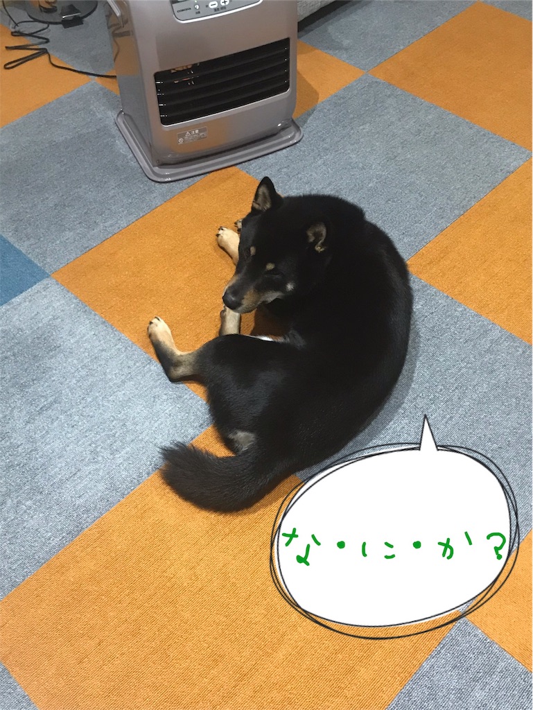 f:id:kimagureNs:20191210204600j:image f:id:kimagureNs:20191210204600j:image