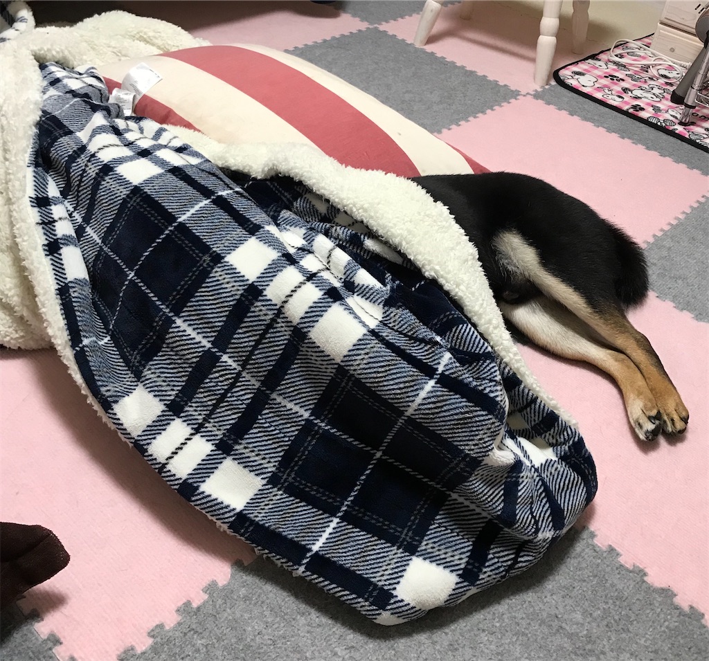 f:id:kimagureNs:20200218213430j:image