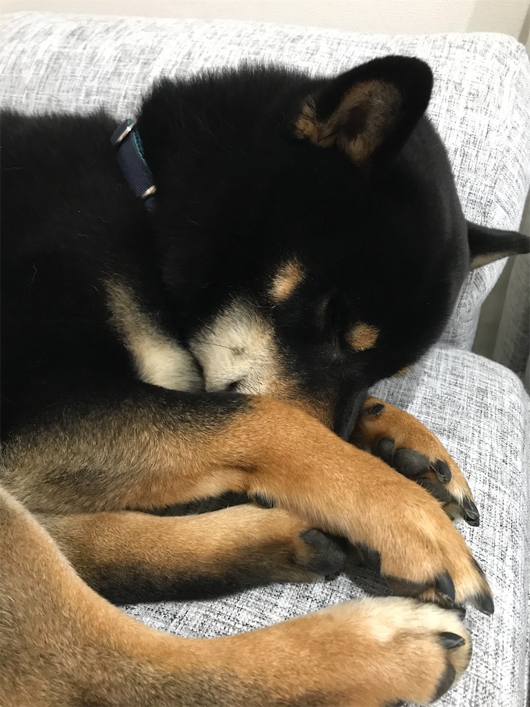 f:id:kimagureNs:20200218232150j:image