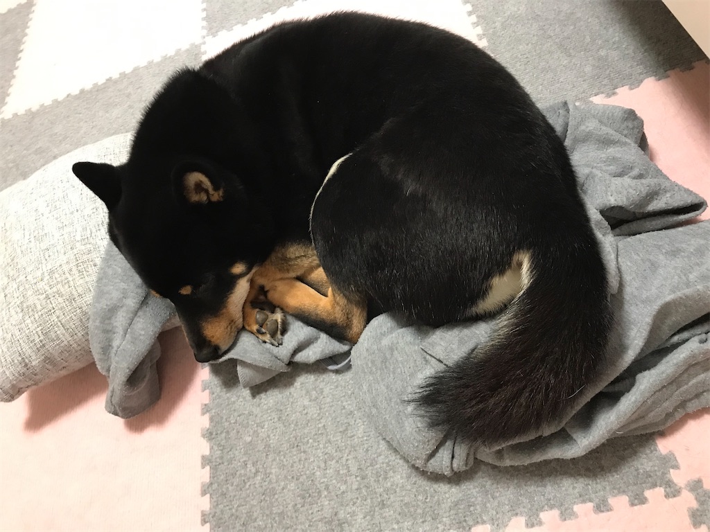 f:id:kimagureNs:20200218232303j:image