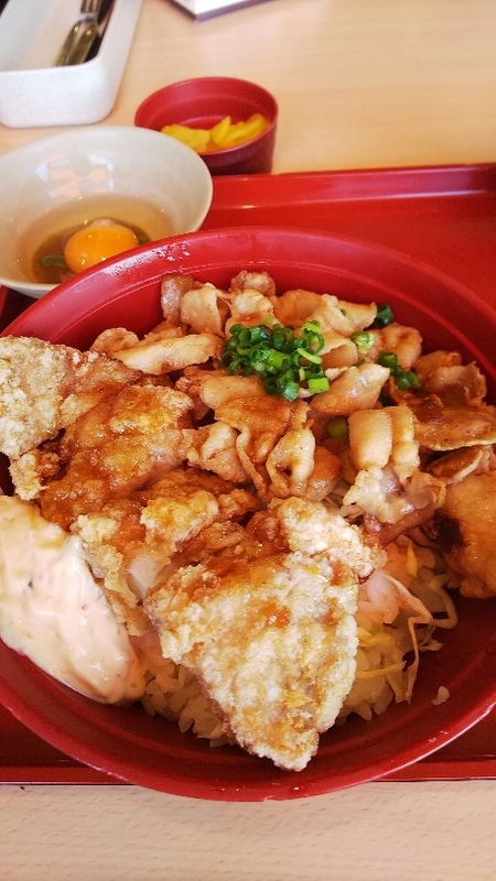 f:id:kimagure_tk:20190310180041j:plain